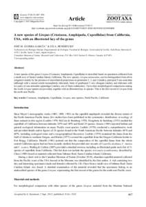 Zoology / Caprellidae / Amphipoda / Caprella / Guerra / Seta / Crustacean / Mandible / Phyla / Protostome / Corophiidea