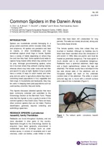 Agnote No: I63 July 2014 Common Spiders in the Darwin Area 2