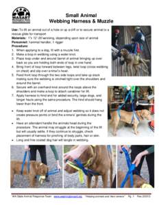 Small Animal Webbing Harness & Muzzle Use: To lift an animal out of a hole or up a cliff or to secure animal to a rescue glide for transport Materials: 1”x 12’-20’webbing, depending upon size of animal Personnel: 1