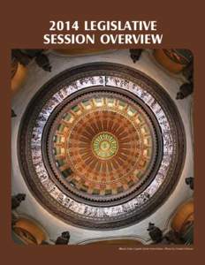 2014 Legislative Session Overview Illinois State Capitol dome from below. Photo by Daniel Schwen  2014 LEGISLATIVE