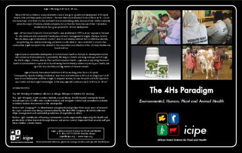 icipe – Working in Africa for Africa… Many of Africa’s problems are associated with a lack of energy for growth and development. Arthropods (insects, ticks and mites, spiders and others) – the most diverse and ab