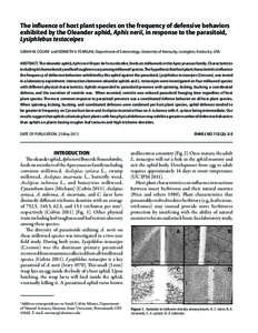 Aphids / Hemiptera / Agricultural pest insects / Medicinal plants / Asclepias / Aphis / Cornicle / Parasitoid / Cynanchum laeve / Flora of the United States / Phyla / Protostome