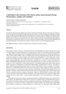 Contribution to the taxonomy of the Hylaeus gibbus species group in Europe (Hymenoptera, Apoidea and Colletidae)