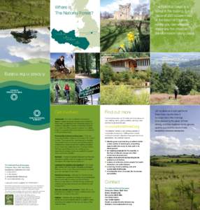 Trees / Reforestation / Forestry / Swadlincote / Moira /  Leicestershire / Forest / National Forest /  England / Derbyshire / Tree planting / Counties of England / Geography of England / Leicestershire