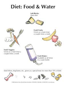 Diet: Food & Water Lab Blocks: Main diet Fresh Fruits: Given as a main treat