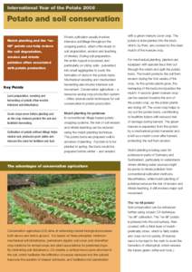 International Year of the Potato[removed]Potato and soil conservation Mulch planting and the “notill” potato can help reduce the soil degradation, erosion and nitrate