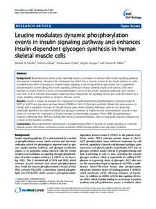 Cell biology / Peptide hormones / Signal transduction / Insulin / AKT / Mammalian target of rapamycin / Phosphoinositide 3-kinase / Leucine / GSK-3 / Biology / Protein kinases / Cell signaling