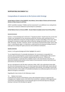 SUPPORTING DOCUMENT II.I Compendium of comments to the System-wide Strategy United Nations Children’s Fund (UNICEF)- Alex Heikens, Senior Adviser Climate and Environment Division of Data, Research and Policy UNICEF wou