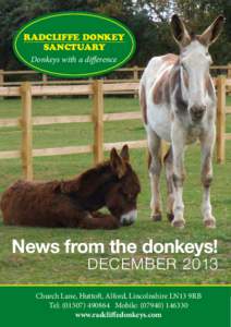 RADCLIFFE DONKEY SANCTUARY Donkeys with a difference News from the donkeys! DECEMBER 2013