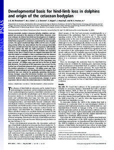 Developmental basis for hind-limb loss in dolphins and origin of the cetacean bodyplan J. G. M. Thewissen*†, M. J. Cohn‡, L. S. Stevens*, S. Bajpai§, J. Heyning¶, and W. E. Horton, Jr.*