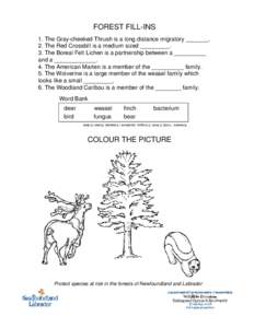 FOREST FILL-INS 1. The Gray-cheeked Thrush is a long distance migratory _______. 2. The Red Crossbill is a medium sized _________. 3. The Boreal Felt Lichen is a partnership between a __________ and a _____________. 4. T