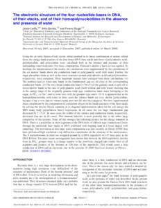 THE JOURNAL OF CHEMICAL PHYSICS 128, 105101 共2008兲  The electronic structure of the four nucleotide bases in DNA, of their stacks, and of their homopolynucleotides in the absence and presence of water János Ladik,1,