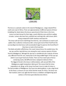 LEMURS The lemur is a primate native to the island of Madagascar, a large island off the south east coast of Africa. There are approximately 10 different species of lemur inhabiting the island where the lemurs spend most