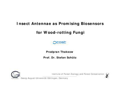Insect Antennae as Promising Biosensors for Wood-rotting Fungi