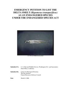 EMERGENCY PETITION TO LIST THE DELTA SMELT (Hypomesus transpacificus) AS AN ENDANGERED SPECIES UNDER THE ENDANGERED SPECIES ACT  U.S. Fish and Wildlife Service photo