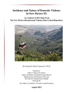 Incidence and Nature of Domestic Violence In New Mexico XI: An Analysis of 2011 Data From The New Mexico Interpersonal Violence Data Central Repository  Developed by Betty Caponera, Ph.D.