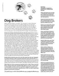 educational ﬂier©2004 BMDCNV, Inc.  Red Flags: To help you recognize a Broker from a Responsible Breeder: