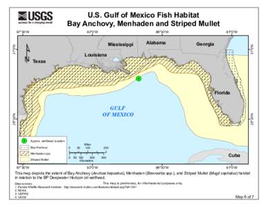 U.S. Gulf of Mexico Fish Habitat Bay Anchovy, Menhaden and Striped Mullet !  !