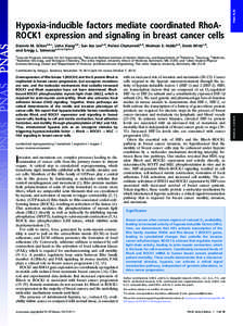 PNAS PLUS  Hypoxia-inducible factors mediate coordinated RhoAROCK1 expression and signaling in breast cancer cells Daniele M. Gilkesa,b,c, Lisha Xianga,b, Sun Joo Leea,b, Pallavi Chaturvedia,b, Maimon E. Hubbia,b, Denis 