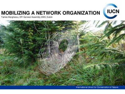 MOBILIZING A NETWORK ORGANIZATION Tamás Marghescu, EFI General Assembly 2009, Dublin “Mobilising  a network