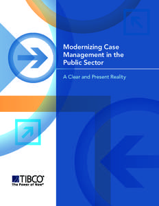 Modernizing Case Management in the Public Sector A Clear and Present Reality  2