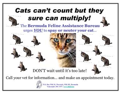 Cats can’t count but they sure can multiply! The Bermuda Feline Assistance Bureau urges YOU to spay or neuter your cat…  DON’T wait until it’s too late!