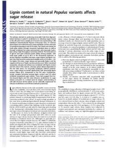 Lignin content in natural Populus variants affects sugar release Michael H. Studera,b,1, Jaclyn D. DeMartinia,b, Mark F. Davisb,c, Robert W. Sykesb,c, Brian Davisonb,d, Martin Kellerb,d, Gerald A. Tuskanb,e, and Charles 