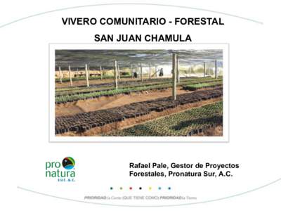 VIVERO COMUNITARIO - FORESTAL SAN JUAN CHAMULA! Rafael Pale, Gestor de Proyectos Forestales, Pronatura Sur, A.C.!