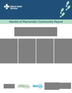 Hamlet of Plamondon Community Report  For more information: Graham Matsalla, Health Promotion Facilitator Health Promotion, Disease and Injury Prevention Alberta Health Services