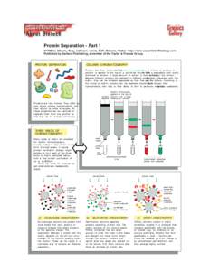 Protein Separation - Part 1 ©1998 by Alberts, Bray, Johnson, Lewis, Raff, Roberts, Walter . http://www.essentialcellbiology.com Published by Garland Publishing, a member of the Taylor & Francis Group.  PROTEIN SEPARATIO