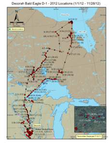 Hudson Bay  Decorah Bald Eagle D[removed]Locations[removed]12) ±