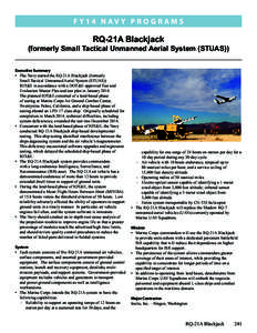 AAI RQ-7 Shadow / AAI RQ-2 Pioneer / Ground control station / United States Navy / Northrop Grumman MQ-8 Fire Scout / Unmanned aerial vehicles / Stealth aircraft / Aviation / Aircraft / Signals intelligence