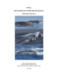 RECOVERY PLAN FOR THE FIN WHALE 2010