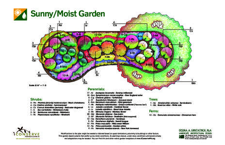 Sunny/Moist Garden 3 Cs 1 Aa