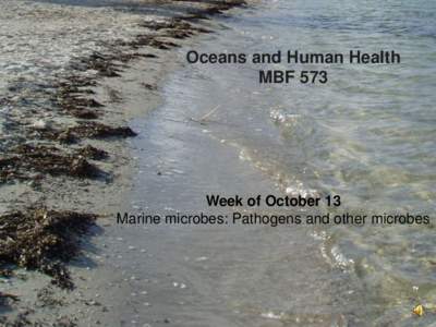 Oceans and Human Health MBF 573 Week of October 13 Marine microbes: Pathogens and other microbes