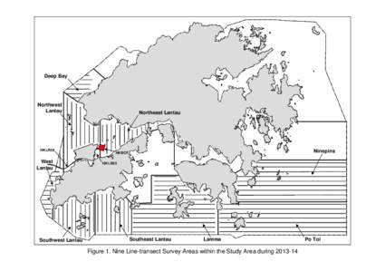 Hong Kong / Asia / Hong Kong Dolphin Conservation Society / Oceanic dolphins / Lantau Island / Chinese white dolphin