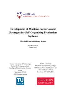Development of Working Scenarios and Strategies for Self-Organizing Production Systems Marshall Plan Scholarship Report Ilya Kukushkin[removed]