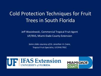 Cold Protection Techniques for Fruit Trees in South Florida Jeff Wasielewski, Commercial Tropical Fruit Agent UF/IFAS, Miami-Dade County Extension Some slides courtesy of Dr. Jonathan H. Crane, Tropical Fruit Specialist,