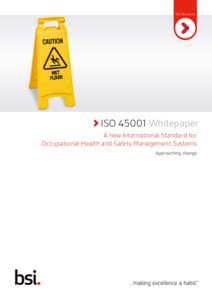 ISO Revisions  ISO Revisions ISO[removed]Whitepaper A new International Standard for