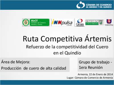 Ruta Competitiva Ártemis Refuerzo de la competitividad del Cuero en el Quindío Área de Mejora: Producción de cuero de alta calidad