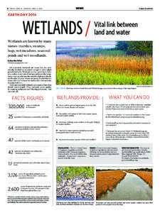 Ecology / Palustrine / Marsh / Wetlands of the United States / Wetland conservation / Aquatic ecology / Water / Wetland