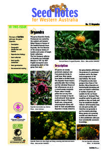 IN THIS ISSUE This issue of Seed Notes will cover the genus Dryandra. D