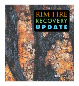 Rim fire RECOVE RY UPDATE On the Road to Recovery with Burned Area Emergency Response (BAER)