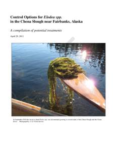 Control Options for Elodea spp. in the Chena Slough near Fairbanks, Alaska A compilation of potential treatments April 29, 2011  In September 2010 the invasive plant Elodea spp. was documented growing in several miles of
