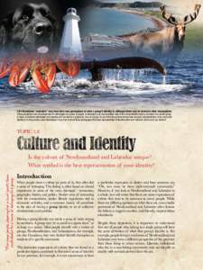 1.61 Sometimes “outsiders” may have their own perceptions of what a group’s identity is, although these may be based on false assumptions. These perceptions can sometimes lead to stereotypes of a place or people. A