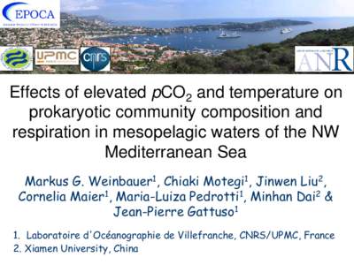 Bacterial production, respiration and growth efficiency