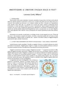 ANESTETIZZARE LE CREATURE D’ACQUA DOLCE: SI PUO’? Lorenzo Conti, Milano1 1. INTRODUZIONE Chissà quante volte avrete maledetto il dannato animaletto d’acqua dolce che sfreccia alla velocità della luce mentre tenta