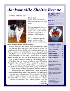 Jacksonville Sheltie Rescue Jax Sheltie Rescue P.O[removed]Jacksonville, Fl[removed]