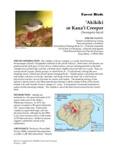Hawaiian honeycreepers / Biology / ʻAkikiki / Oreomystis / Extinct birds / Bird conservation / Avian malaria / ʻŌʻū / Endangered Species Act / Fauna of the United States / Fringillidae / Drepanidinae