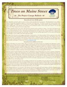 Trees on Maine Street  The Project Canopy Bulletin  Nov—Dec[removed]Emerald ash borer (EAB) update